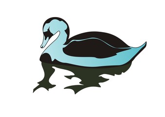 Vector swan