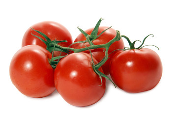 tomatoes