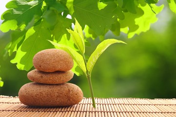 spa still life