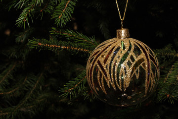 Weihnachtsbaum(1)