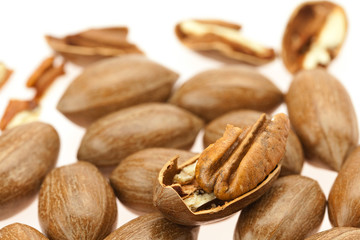 Pecan isolated on white