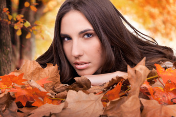 yellow trees and girl in dry leaves