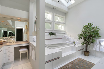 Master bath with step up tub