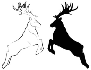 Hirsch - Umriss und Linienzeichnung