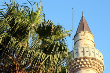 palma e minareto di moschea