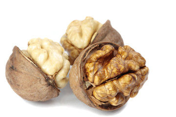 walnut nuts on white background