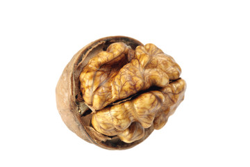 walnut nuts on white background