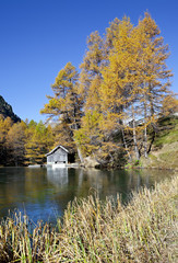 Little log cabin by Palpuogna Lake