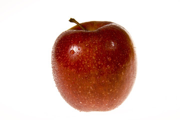 Apfel 002