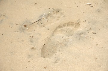 Fototapeta na wymiar Fußabdruck im sand