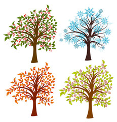 Four seasons trees, vector