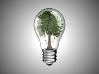 Lightbulb with green tree inside it