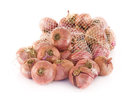 Cebollas