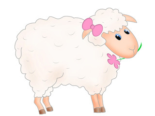 Cute sheep
