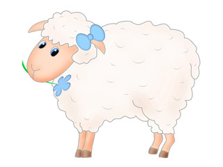 cute sheep