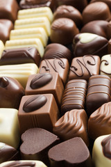 various chocolate pralines