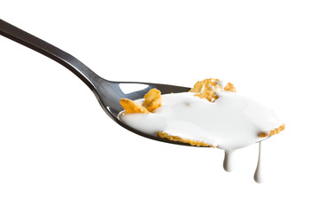 cornflakes on the spoon with milk