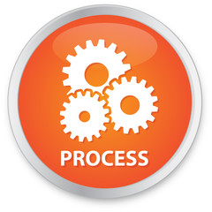 Process