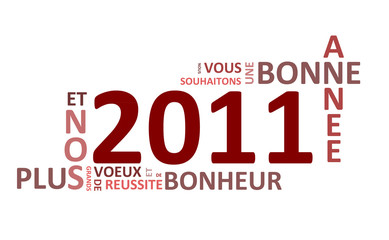 Bonne année 2011 encadré rouge