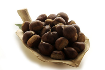 Castagne