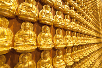 Ten thousand golden Buddha statue