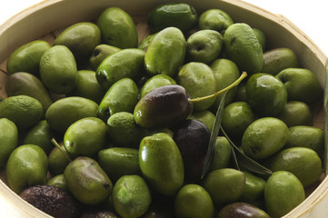 Olive
