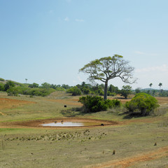 Fototapeta na wymiar Pinar del Río Province, Cuba
