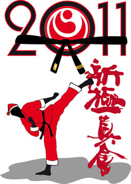 Karate shinkyokushinkai - Martial art in New Year