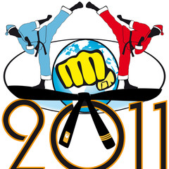 Martial arts in New Year 2011. Figters in red, blue kimono
