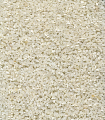 background with rice