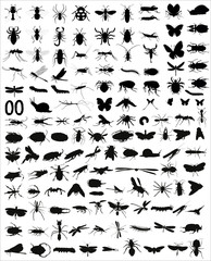 Big collection of 133 different vector insects silhouettes