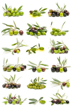 collection of olives on white background