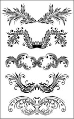 beauty  flourish for design