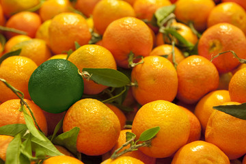 Mandarin orange in the market