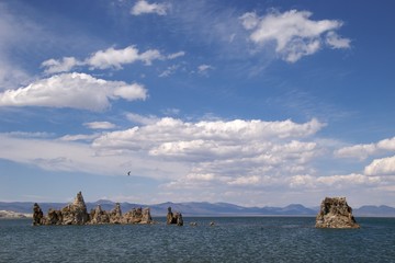 Fototapeta premium Seagull flying over tufa spires, Mono Lake Tufa Nature Reserve