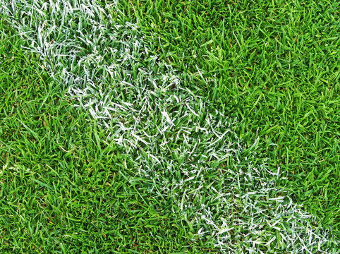 Fußball Rasen Nahaufnahme - Soccer Pitch Detail