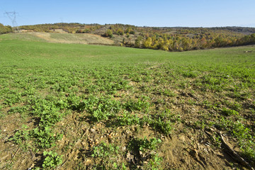 Green field at north Greece