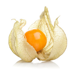Physalis fruit on white background