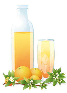 Verre et bouteille de jus d'oranges sur fond blanc