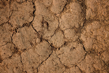 dry cracked earth