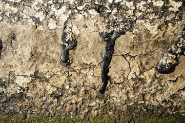 Grunge Cement and Paint