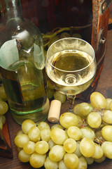 vino