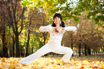 Pretty woman doing yoga exercises in the autumn park