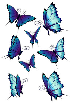 Blue butterflies set