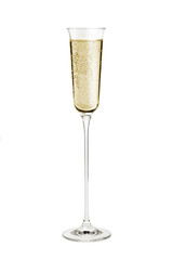 Champagne glass