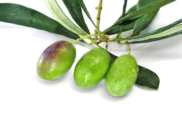 olives bunch