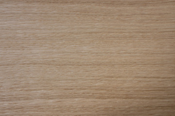 Oak texture