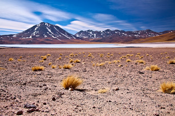 altiplano lagoon Miscanti close to cerro Miscanti, Chile