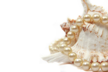 Pearl necklace with shell isolated on white background