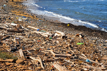 garbage in the seashore